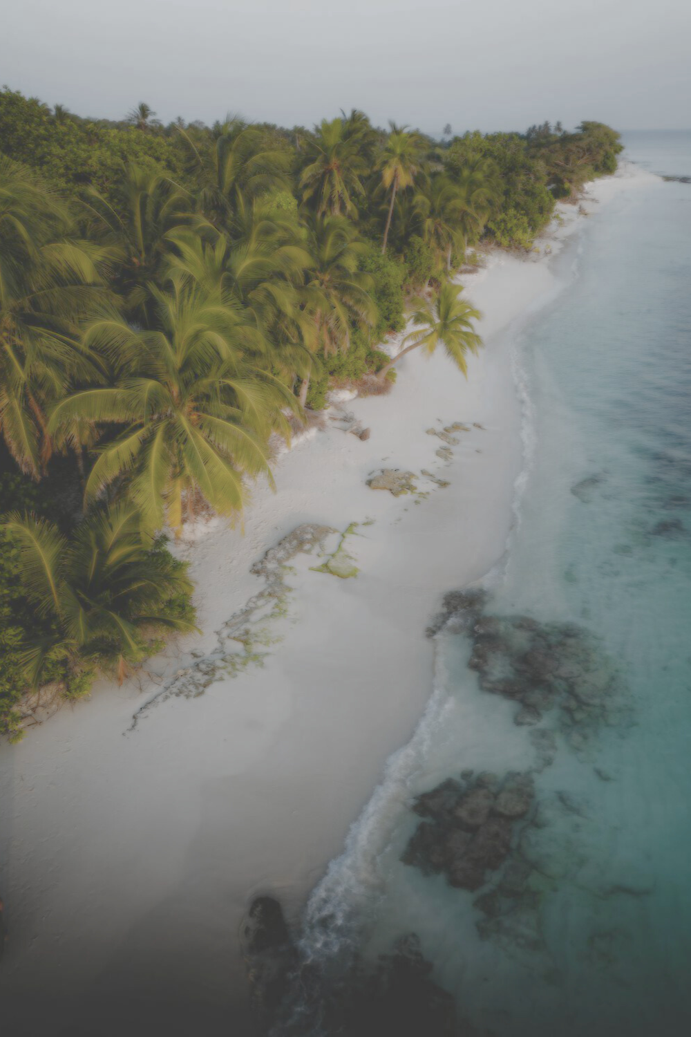 Design sem nome (45)